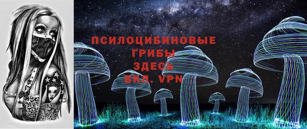 прущие грибы Богородск