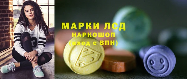 прущие грибы Богородск