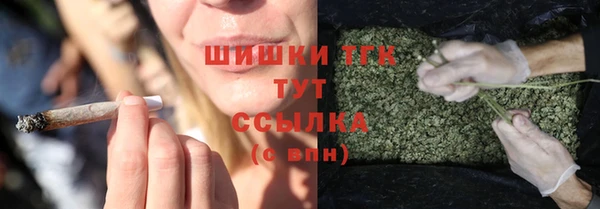 прущие грибы Богородск