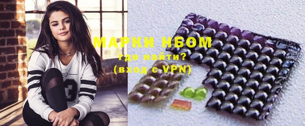 сатива Богородицк
