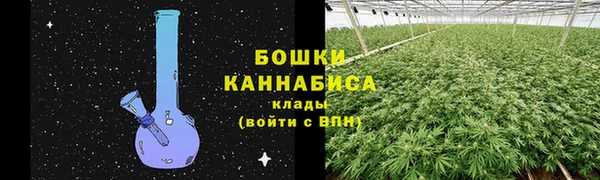 сатива Богородицк