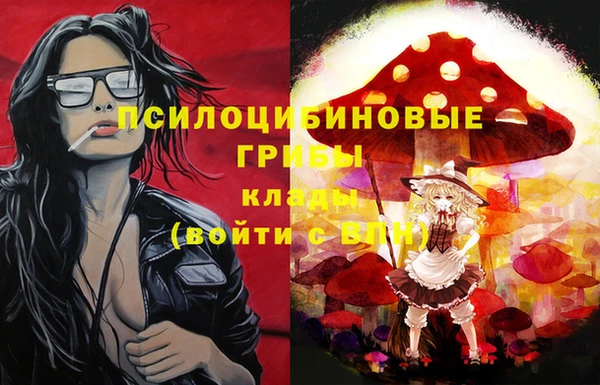 прущие грибы Богородск